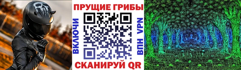 Галлюциногенные грибы мухоморы  Купить закладки  Шлиссельбург 